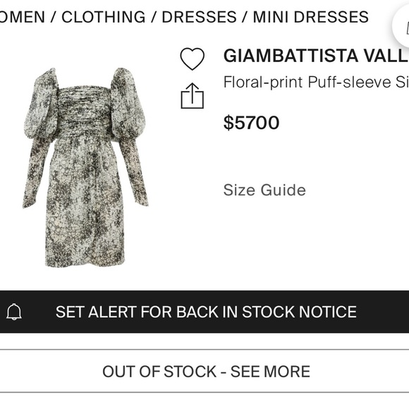 GIAMBATTISTA VALLI 2019 RUNWAY DRESS - Picture 11 of 12